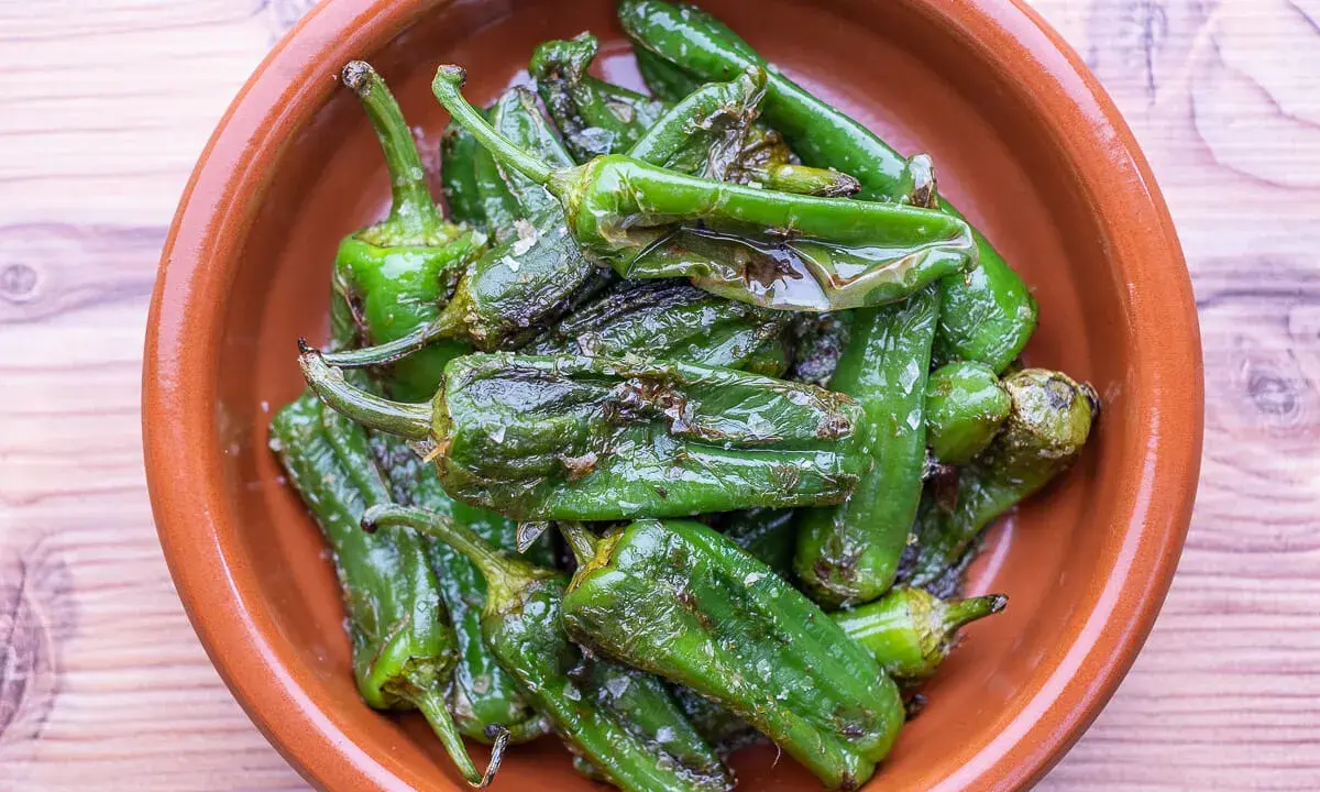 Gebratene Pimientos de Padrón in einer Tonschale, bereit für ein einfaches Rezept.