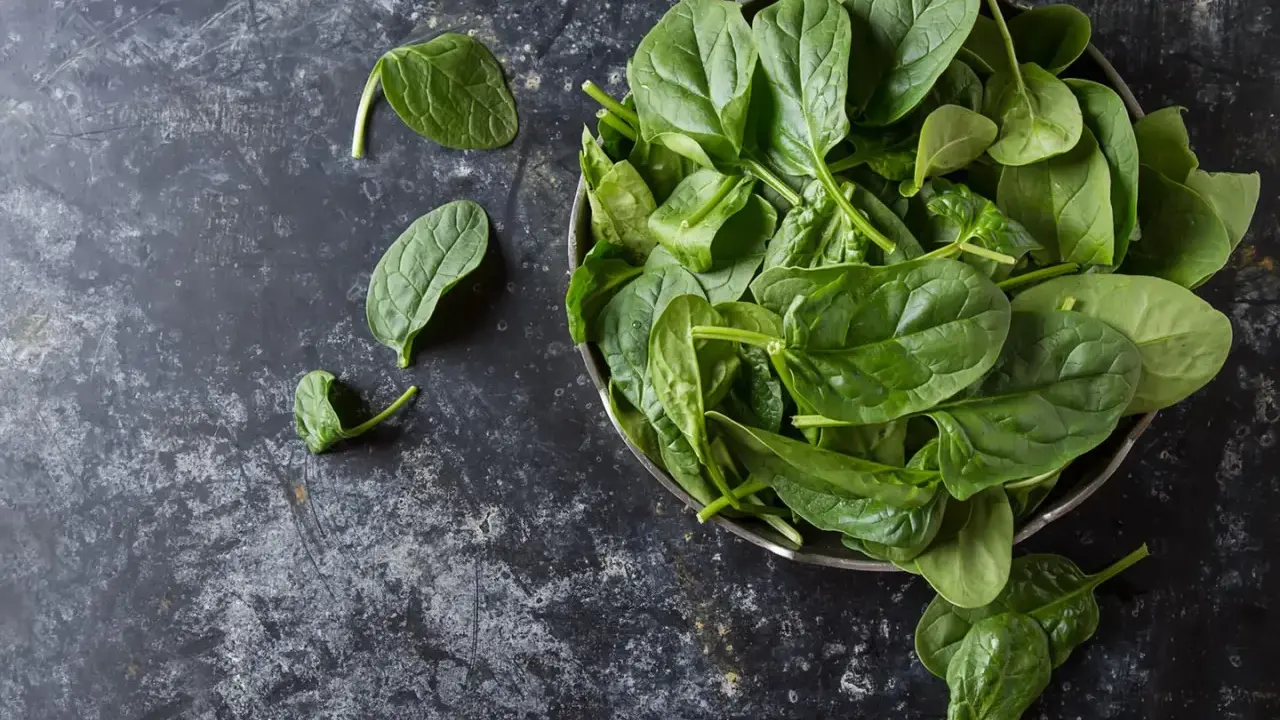Frischer Spinat in einer Schüssel, bereit für ein klassisches Spinat Rezept.