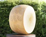 Ein großer Parmesanlaib mit eingeprägtem Schriftzug und Blättern vor grünem Hintergrund.
