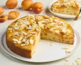 Saftiger aprikosenkuchen mit frischen aprikosen und Mandelblättchen bestreut, ein Stück auf einem Teller daneben.