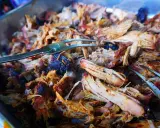 Saftiges, zartes Pulled Pork im Texas-Stil, bereit zum Servieren. Ein Gabel hebt die köstlichen Fleischfasern an.