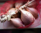 Ein Bund Schalotten in rotem Netz. Diese kleinen Zwiebeln sind perfekt für feine Aromen in der Küche.