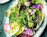 Ein bunter gemischter Salat mit zarten Blüten und Radieschen auf einem verzierten Teller.