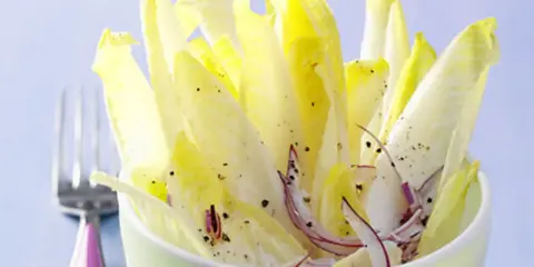 Frischer Chicorée Salat mit Orangen und roten Zwiebeln, gewürzt mit Pfeffer. Ein leichtes Gericht, das Lust auf mehr macht.