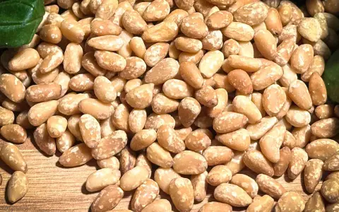 Ein Haufen Pinienkerne, die zeigen, dass Pinienkerne gesund sind. Sie sind eine gute Quelle für Nährstoffe und gesunde Fette.