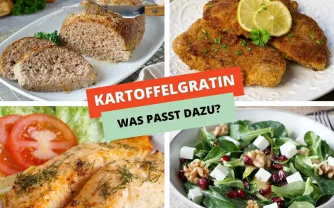 Vier Bilder zeigen Gerichte: Hackbraten, Schnitzel, Lachs und Salat. Was passt zu Kartoffelgratin vegetarisch?