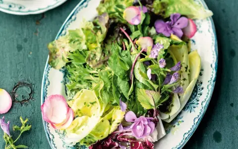 Ein bunter gemischter Salat mit zarten Blüten und Radieschen auf einem verzierten Teller.