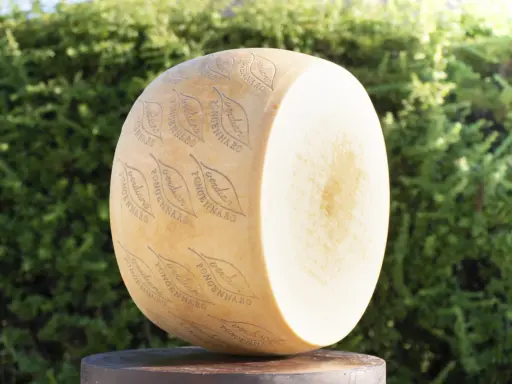Ein großer Parmesanlaib mit eingeprägtem Schriftzug und Blättern vor grünem Hintergrund.