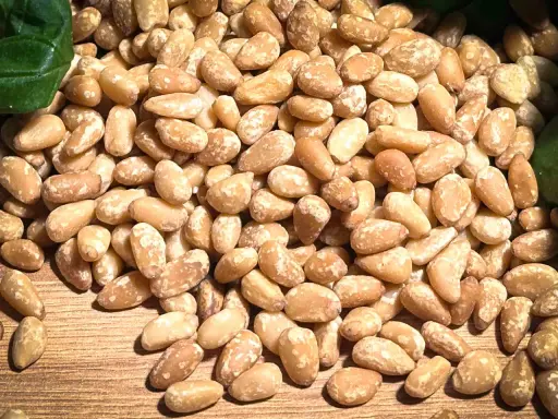 Ein Haufen Pinienkerne, die zeigen, dass Pinienkerne gesund sind. Sie sind eine gute Quelle für Nährstoffe und gesunde Fette.