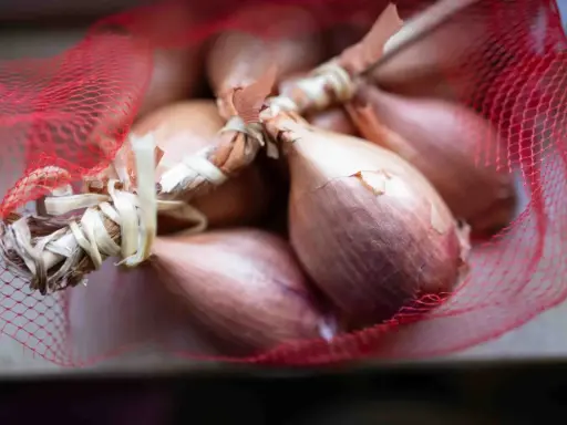 Ein Bund Schalotten in rotem Netz. Diese kleinen Zwiebeln sind perfekt für feine Aromen in der Küche.