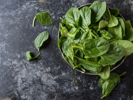 Frischer Spinat in einer Schüssel, bereit für ein klassisches Spinat Rezept.
