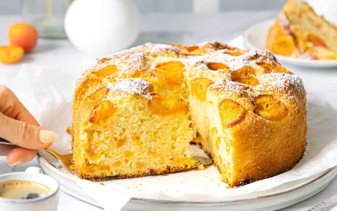 Saftiger aprikosenkuchen mit frischen aprikosen, best&auml;ubt mit Puderzucker. Ein St&uuml;ck wird gerade mit einer Gabel herausgenommen.